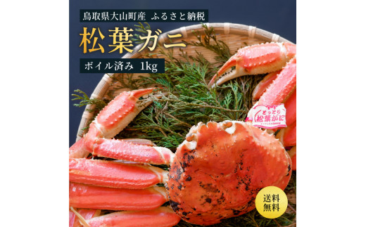 OM-25 ブランドタグ付ボイル松葉ガニ(特大約1kg)【11月下旬以降発送】