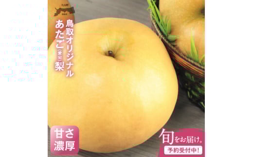 DS-10 あたご梨(5kg)