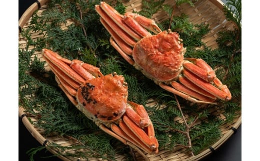 OM-20　[冷凍]ボイル松葉ガニ（400～500gを2枚）【11月下旬以降発送】