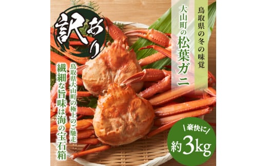 OM-14-2　[冷凍]訳あり松葉ガニ約3kg詰め合わせ【1月中旬以降発送】