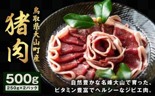 GB-01 猪肉 500g(250g×2パック)