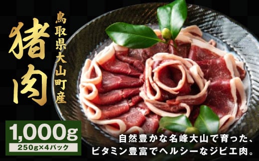 GB-02 猪肉 1kg 250g×4パック