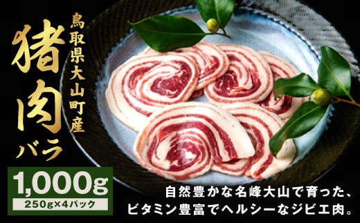 GB-06 猪肉 バラ 1kg(250g×4パック)