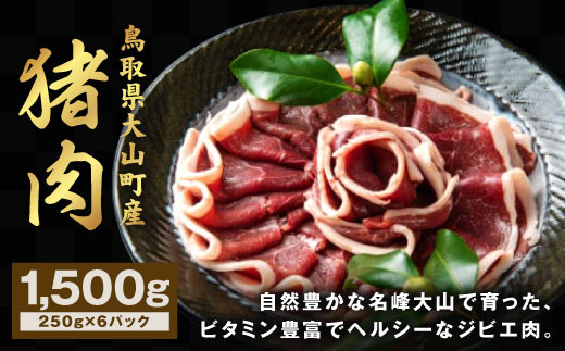 GB-03 猪肉 1.5kg(250g×6パック)