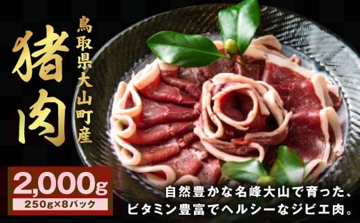 GB-04 猪肉 2kg 250g×8パック