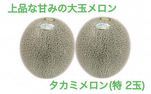 AS-14 貴味(タカミ)メロン(特) 2玉