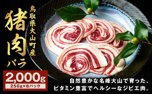 GB-08 猪肉 バラ 2kg(250g×8パック)