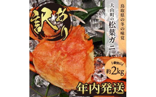 OM-13-1　[冷凍]訳あり松葉ガニ約2kg詰め合わせ【11月下旬以降発送】【年内発送】