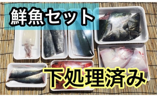 OM-39 みくりや季節の鮮魚セット(下処理済み)
