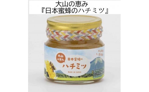 MS-81 大山町産プレミアムはちみつ「日本蜜蜂のはちみつ」(290g×1本)