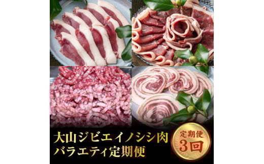 GB-26 大山ジビエイノシシ肉バラエティ定期便(3回コース)