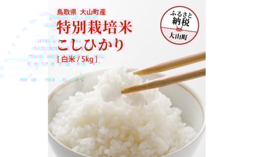 MR-11 減農薬・減化学肥料 特別栽培米こしひかり 5kg(白米)