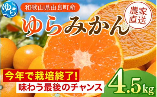 ＼栽培終了！／今年限りの ゆらみかん  4.5kg ※2025年12月上旬頃から順次発送予定 / 温州みかん 和歌山県 柑橘 みかん 甘い 蜜柑 フルーツ 果物 くだもの 食品 人気   おすすめ 送料無料 産地直送 由良町【kzmn018】