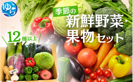 季節の新鮮野菜・果物セット(12種以上)【夏季】※北海道・沖縄・離島配送不可 / 期間限定 由良町 冷蔵 詰合せ フルーツ くだもの 食品 おすすめ 産地直送【eiw007】