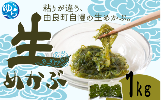 ＼レビューキャンペーン中/ 生めかぶ 1kg[来シーズン先行予約]※2026年2月上旬頃〜順次発送予定 / めかぶ サラダ 酢の物 天然 海藻 海鮮 新鮮 おかず ご飯お供 お取り寄せ グルメ 国産 食品 冷蔵 和歌山県 由良町 [skmn029]