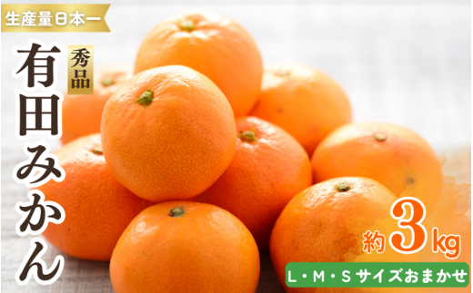 紀州有田みかん 秀品 約3kg サイズおまかせ(L・М・S) 【sml128A】 ※2025年11月下旬~2026年1月中旬頃順次発送予定