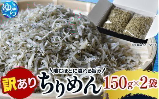 わけありちりめん 300g / ちりめん ちりめんじゃこ 国産 冷蔵 化粧箱入り 魚 お魚 さかな 食品 和歌山県 由良町 訳あり 9000円 しらす シラス【uoms011】