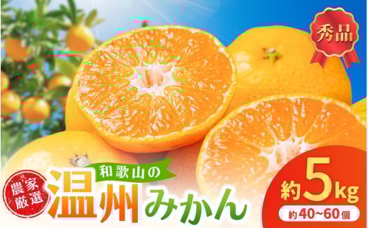 和歌山県産温州みかん 秀品 約5kg(約40個〜60個入)[先行予約][2025年11月初旬頃から2026年1月中旬頃順次発送予定] / みかん フルーツ 果物 柑橘 和歌山[kgr032]