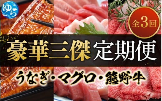 \新登場/ 豪華三傑 定期便! 全3回 うなぎ 高級和牛(熊野牛) マグロ 人気返礼品を3回お届け♪♪ /  本まぐろ まぐろ うなぎ 鰻 肉 牛肉 和牛 人気 冷凍 定期便 3回【tkb104】