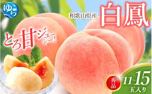 桃 和歌山県産 白鳳 11~15玉 秀品 ※2026年6月下旬~発送 もも 桃 くだもの 甘い 特選 和歌山【mtgn045】
