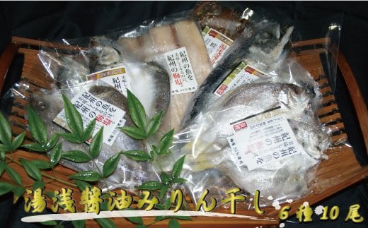 梅塩干物と湯浅醤油みりん干し6品種10尾入りの詰め合わせ【和歌山の近海でとれた新鮮魚】【TM65】【tec201】