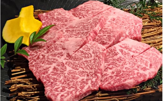 和歌山県産 黒毛和牛「熊野牛」 特選モモステーキ 600g(約100g×6枚) 4等級以上【mtgn026】