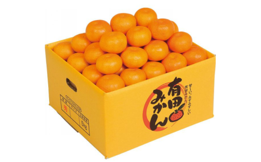 【赤秀ランク】完熟有田みかん 5kg(約30個)※2025年12月初旬より順次発送 /  有田 ミカン 蜜柑 プレミアム 秀品 フルーツ 果物 柑橘 和歌山県 由良町【stmr004】