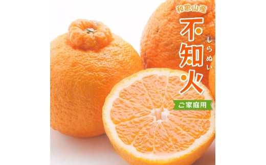 【先行予約】＜2月より発送＞家庭用不知火1kg+250g（傷み補償分）＜2月より発送＞デコポンと同品種 人気の春みかん 訳あり わけあり 光センサー選別 【ikd161C】