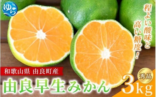 由良 早生 みかん ( 秀品 ) 約3kg / 極早生 早生みかん 温州みかん ゆらわせ 柑橘 密柑 甘い 和歌山 由良町 サイズおまかせ 先行予約 ※2025年10月上旬~11月上旬頃順次発送予定【sml107C】