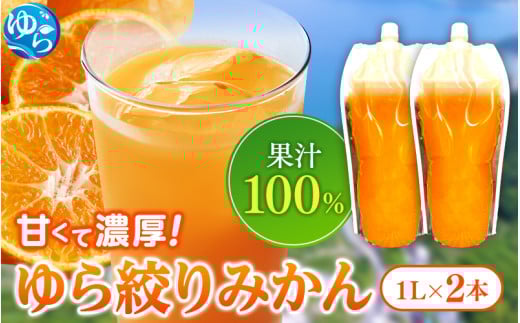 無添加 ストレート果汁! みかんジュース 1L×2本【fmlb019】