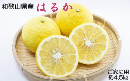 【さわやか柑橘】和歌山県産はるかみかん約4.5kg（サイズ混合　ご家庭用）※2026年2月下旬～2026年3月下旬頃頃順次発送【TM161】【tec954】