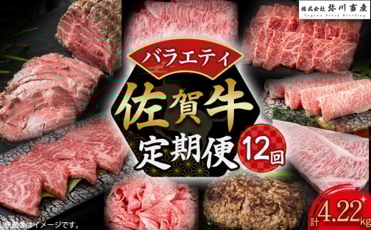 佐賀牛 バラエティ12回定期便 佐賀牛 ブランド牛 国産牛 牛肉 肉赤身 赤身肉 定期便 佐賀県 太良町 UB1
