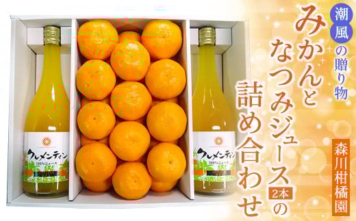 N-89 潮風の贈り物~みかんとなつみジュース(2本)の詰め合わせ~ みかん 24玉 なつみジュース 720ml 潮風みかん  森川柑橘園 太良町 太良みかん 温州みかん こだわりの栽培方法 なつみ 100%ジュース みかんジュース ミカンジュース 蜜柑ジュース 詰め合わせ セット品 みかん ミカン 蜜柑 フルーツ くだもの 果物 ミネラル豊富 太良町 国産 贈答用
