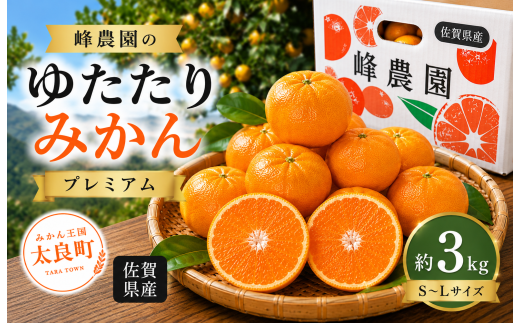 峰農園のゆたたりみかん 【 プレミアム 】 約3kg ミカン みかん 蜜柑 プレミアムみかん 柑橘 柑橘類 柑橘系 果物 くだもの フルーツ 果実 果肉 果汁 贈り物 プレゼント 国産 佐賀県産 【 2026年12月上旬～2027年1月下旬まで順次発送予定 】