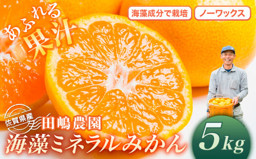 L-22 海藻ミネラルみかん 5kg　みかん ミカン 蜜柑 たらみかん 太良みかん 温州みかん 完熟みかん 甘熟 柑橘 国産 こだわり 有機栽培 産地直送 贈答品 詰め合わせ 極甘 佐賀県産 太良町