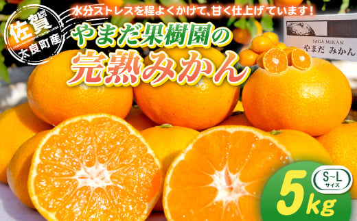 L-32 やまだ果樹園の完熟みかん　５ｋｇ　みかん ミカン 蜜柑 柑橘 たらみかん 太良みかん 温州みかん 完熟みかん 国産 佐賀県産 太良町 こだわり 産地直送 贈答品 詰め合わせ セット 小玉 大玉 甘熟 極甘