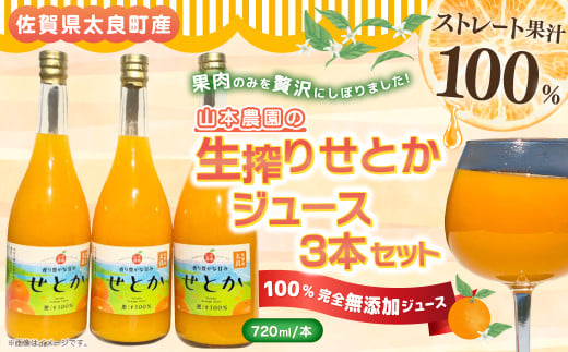山本農園の生搾りせとか 3本セット 飲料 オレンジジュース ジュース 生搾り みかん 蜜柑 ミカン おれんじ オレンジ フルーツ 果物 くだもの ジューシー 柑橘  国産 完熟 ジューシー プレゼント 贈り物 ギフト 3本 セット 佐賀県 太良町 NC13