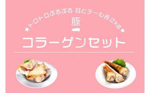 N-192 N30F 新鮮！豚コラーゲンセット 豚肉 お肉 肉 豚耳 ぶた耳 ブタ耳 豚尾 ぶた尾 ブタ尾 豚テール ぶたテール ブタテール コラーゲン セット品 コラーゲンセット ブタ 豚 ぶた ポーク 新鮮 冷凍便 冷凍品 人気 シャルキュティエ田嶋 太良町