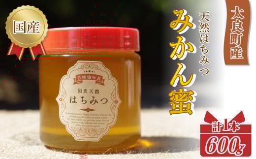 N-225 太良町産はちみつ【みかん蜜600g】 600g 江頭(勇)養蜂場 (日本養蜂協会 会員) 太良町 有明海 国産 国産はちみつ 天然はちみつ みかん蜜 ハチミツ 蜂蜜 柑橘のさっぱりとした香り サラサラ クセがない 日本養蜂協会の基準を満たした
