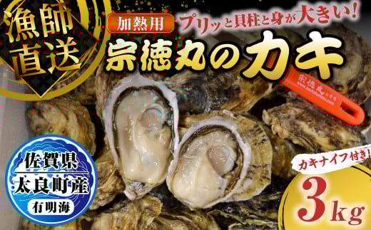 宗徳丸のカキ ３kg 牡蠣 かき カキ 有明海 殻付きカキ 加熱用牡蠣 生牡蠣 剥き身 宗徳丸 ブランド 生食 生食用 新鮮 佐賀県 太良町 P76
