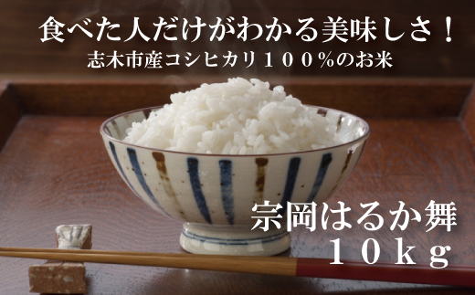 志木市産コシヒカリ100％「宗岡はるか舞」10kg