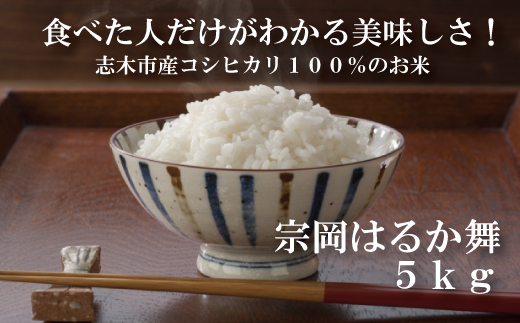 志木市産コシヒカリ100％「宗岡はるか舞」5kg