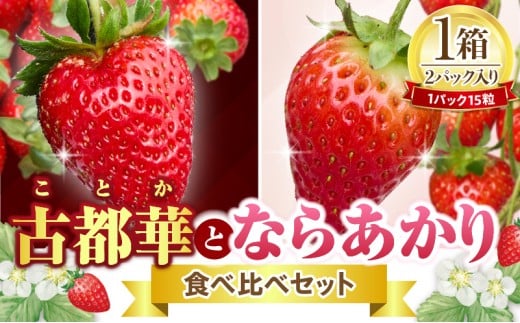 【2026年1月上旬~3月下旬発送】古都華とならあかりの食べ比べセット 1パック×2(1パック15粒) 化粧箱 国産 国産苺 ストロベリー 果物 果実的野菜 フルーツ デザート おやつ 糖度 濃厚 香り 鮮やか 甘い ビタミン 奈良県産 お取り寄せ 贈答用 送料無料