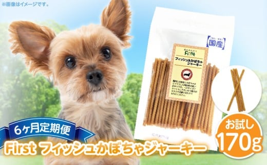 First フィッシュ かぼちゃジャーキー1袋 6ヶ月定期便