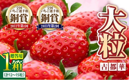 【2026年1月上旬～2月下旬発送】贈答用いちご【数量限定】『古都華』 いちご 数量限定 古都華 12～15粒 化粧箱 国産 国産苺 ストロベリー 果物 果実的野菜 フルーツ デザート おやつ 糖度 濃厚 香り 鮮やか 甘い ビタミン 奈良県産 お取り寄せ 贈答用 送料無料