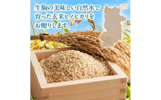 生駒高山育ちの ヒノヒカリ玄米5kg(生産者 上武猛) 令和7年産