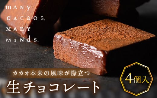 生チョコレート(4個入り) チョコレート 生チョコ 口溶け ソフト クリーミー カカオ おやつ スイーツ デザート 洋菓子 贈り物 手土産 プレゼント バレンタイン 冷凍 奈良県 生駒市 送料無料