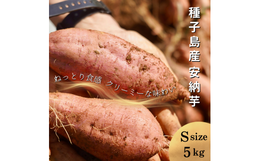 【  新物 ・先行予約 】 種子島  めっかり申さん 安納いも ( 生いも ) S サイズ 5kg NFN629【300pt】