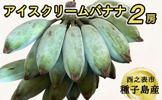 種子島 産 園田バナナ園 アイスクリームバナナ ( 島バナナ ) 2房 NFN493【450pt】 // 国産バナナ 露地物 希少 珍しい バナナベルト地帯 露地栽培 北緯30度 オリジナルバナナ箱 やわらかい果肉 口の中でとろける 甘いバナナ デザート 天然のデザート