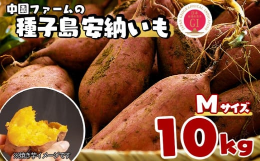 種子島 中園ファーム 安納いも ( 生芋 ) M サイズ 10kg NFN058【500pt】 // 安納芋 安納いも発祥の地 本場・安納地域産 糖度 熟成期間 G.I 保護制度 ブランド 金賞 生いも 芋 いも さつまいも